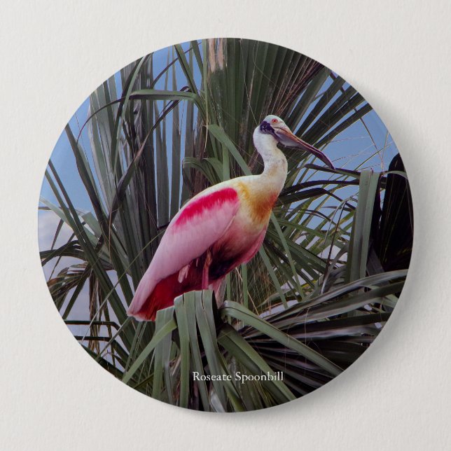 Macaron Rond 10 Cm Bouton Roseate Spoonbill (Devant)