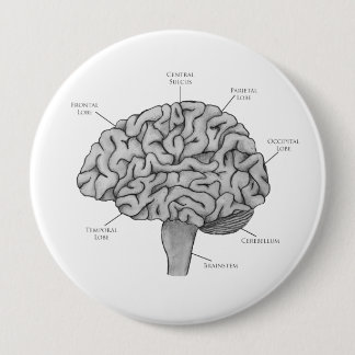 Macaron Rond 10 Cm Cerveau scientifique