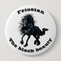 Cheval friésien, étalon de beauté noir