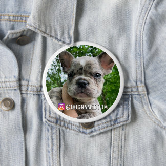 MACARON ROND 10 CM DOM LE NIP D'INSTAGRATION DU CHIEN
