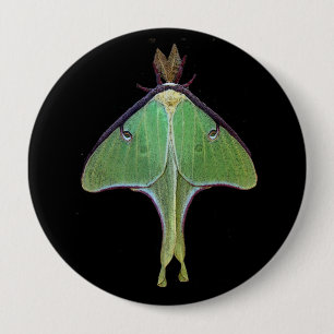 Macaron Rond 10 Cm Luna Moth