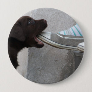 Macaron Rond 10 Cm Mange Ma Chaussure ! Labrador Puppy