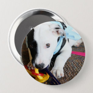 Macaron Rond 10 Cm Mignonne Chiot noir et blanc
