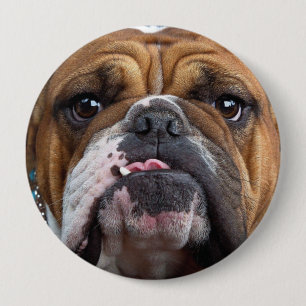 Macaron Rond 10 Cm Oreillers à lancer de Bulldog anglais