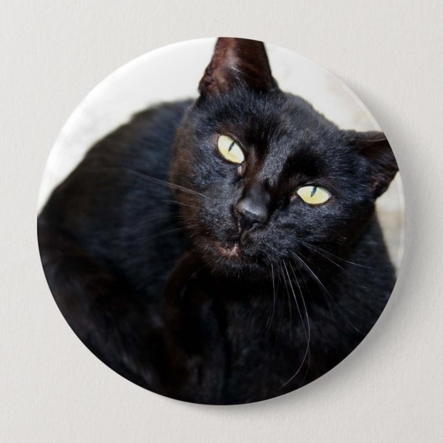 Macaron Rond 10 Cm Portrait de chat noir (Devant)