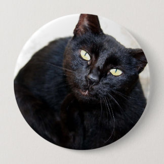 Macaron Rond 10 Cm Portrait de chat noir
