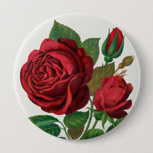 Macaron Rond 10 Cm Rose Print Rochester Lithographing and Printing Co