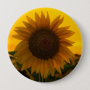 Macaron Rond 10 Cm Tournesol 🌻