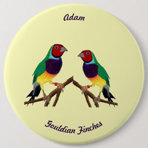 Macaron Rond 15,2 Cm ADAM ~ Gouldian Finch ~ Personnalisé ~