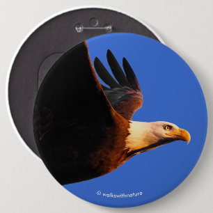 Macaron Rond 15,2 Cm Aigle Bald à couper le souffle en vol du coucher d