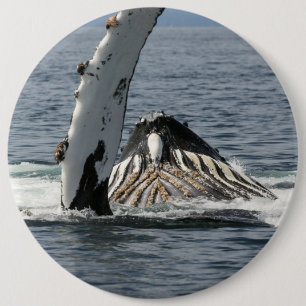 Macaron Rond 15,2 Cm Baleine à bosse