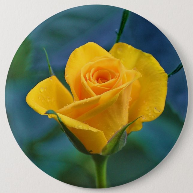 Macaron Rond 15,2 Cm Beau rose jaune (Devant)