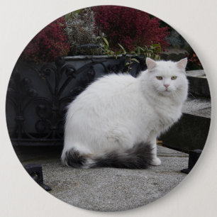 Macaron Rond 15,2 Cm Beautiful White Cat On A Grave