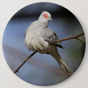 Macaron Rond 15,2 Cm Belle douceur Diamond Dove