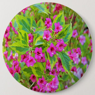 Macaron Rond 15,2 Cm Belle Weigela verte avec des fleurs de Crimson