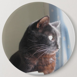 Macaron Rond 15,2 Cm Bouton d'extra large