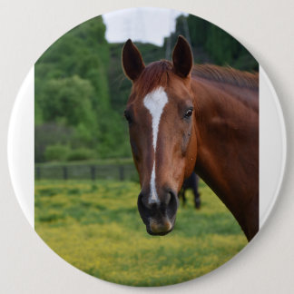 Macaron Rond 15,2 Cm bouton face