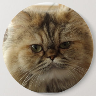 MACARON ROND 15,2 CM BOUTON PHOTO CHAT PERSONNALISÉ GRAND