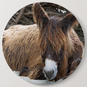 Macaron Rond 15,2 Cm Brown Poitou Donkey