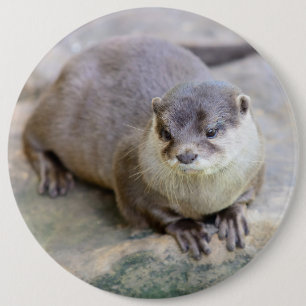 Macaron Rond 15,2 Cm Button with small-clawed otter