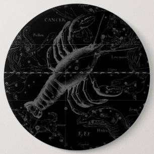 Macaron Rond 15,2 Cm Cancer Constellation Hevelius 1690 Décor