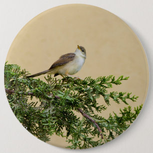 Macaron Rond 15,2 Cm Carte postale Sparrow