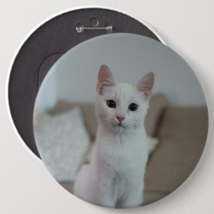 Macaron Rond 15,2 Cm chat blanc Zazzle_Growshop.