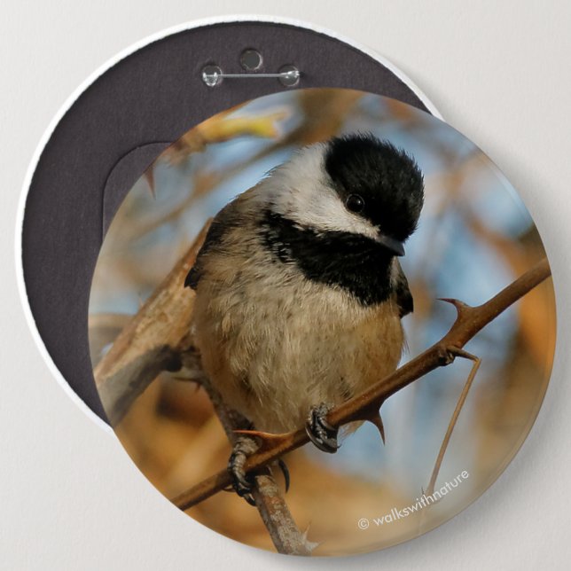 Macaron Rond 15,2 Cm Chickadee Songbird, Joli Espérant (Devant & derrière)