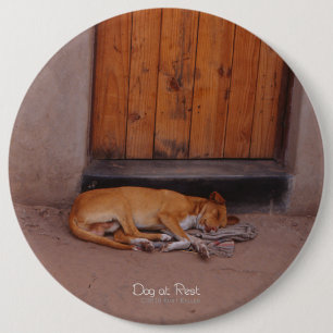 Macaron Rond 15,2 Cm Chien au repos