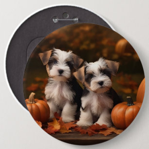 Macaron Rond 15,2 Cm Chiots Biewer Terrier Automne Délice Citrouille