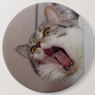 Macaron Rond 15,2 Cm Criant British Shorthair