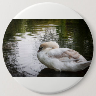 Macaron Rond 15,2 Cm Cygne blanc