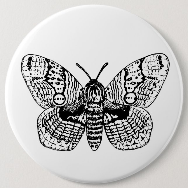 Macaron Rond 15,2 Cm Dessin Brahmin moth (Devant)