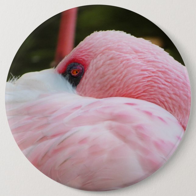 Macaron Rond 15,2 Cm Flamant rose (Devant)