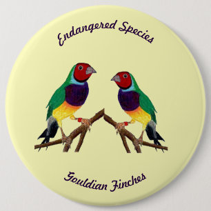 Macaron Rond 15,2 Cm ~ Gouldian Finch ~ Art original ~ Bouton