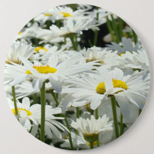 Macaron Rond 15,2 Cm Grandes boutons fleurs de marguerite blanche heure
