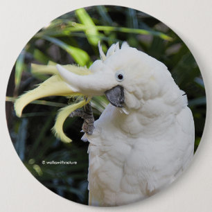 Macaron Rond 15,2 Cm Grosses Vagues De Cockatoo À Soufre Cute Drôle Bon