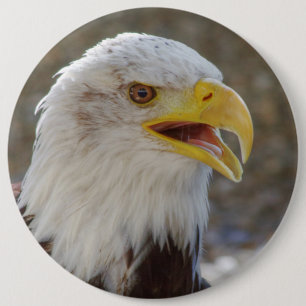 Macaron Rond 15,2 Cm Haliaeetus leucocephalus