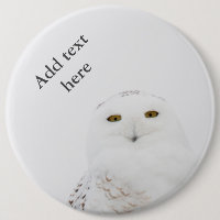 Hibou animal de Milou d'oiseau me regardant