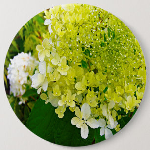 Macaron Rond 15,2 Cm Hydrangea Limelight Vert Chartreuse Élégant