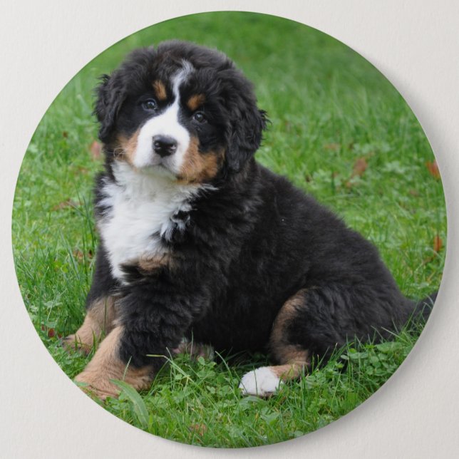 Macaron Rond 15,2 Cm Jumbo teint de chien photo personnalisé, aimez vot (Devant)