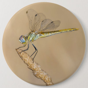 Macaron Rond 15,2 Cm Libellule Skimmer Insecte Femelle (CC BY 4.0) Bout