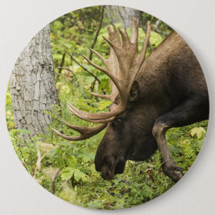 Macaron Rond 15,2 Cm Meandering Moose