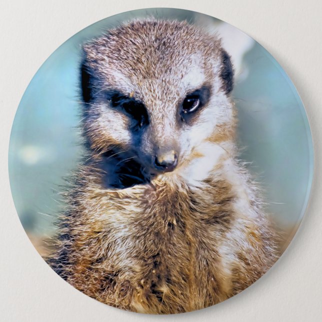MACARON ROND 15,2 CM MEERKAT (Devant)
