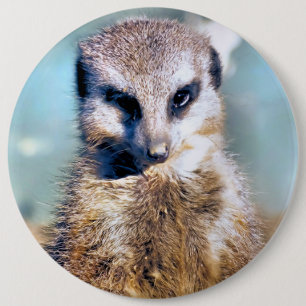 MACARON ROND 15,2 CM MEERKAT