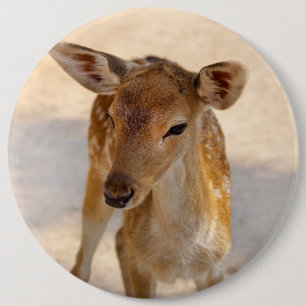 Macaron Rond 15,2 Cm Photographie de cerfs fantaisistes en forêt