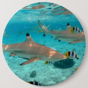 Macaron Rond 15,2 Cm Requins dans la lagune de Bora Bora
