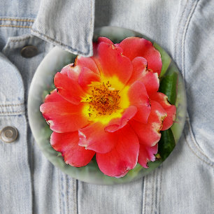 Macaron Rond 15,2 Cm Rose en automne