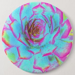 Macaron Rond 15,2 Cm Rosette de Sedum Succulent Rose et Bleu Chaud