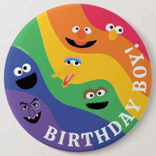 Macaron Rond 15,2 Cm Sesame Street Pals Rainbow Birthday Boy
